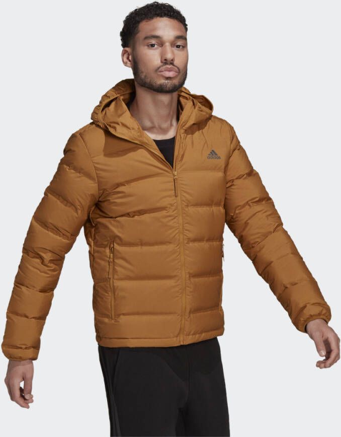 Adidas Helionic Hooded Jacket Gu3953 , Bruin, Heren
