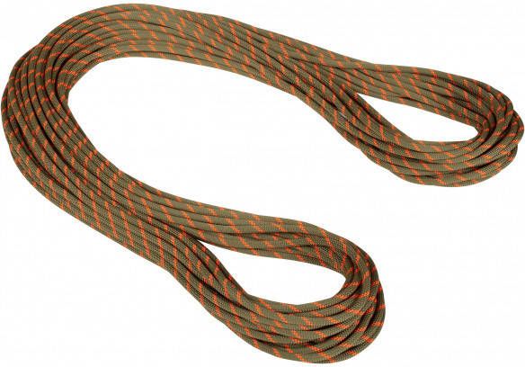 mammut 8.0 Alpine Dry Rope Halftouw m, bruin