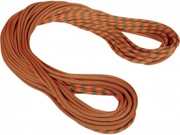 mammut 9.5 Crag Dry Rope Enkeltouw m, bruin