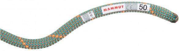 mammut 9.9 Crag Workhorse Dry Rope Enkeltouw m, wit