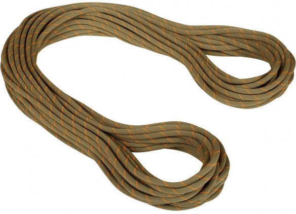 mammut 9.9 Gym Workhorse Classic Rope Enkeltouw m, bruin