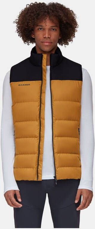 mammut Whitehorn Gevoerde Vest Bruin