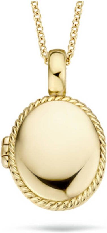 Blush Hanger van 14 karaat geelgoud 6081YGO