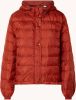 Levi's® Gewatteerde jas Edie Packable met kleine logoprint online kopen