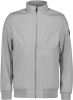 Airforce Softshell jacket paloma grey online kopen