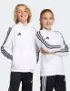 Adidas Tiro 23 League Training Basisschool Track Tops online kopen