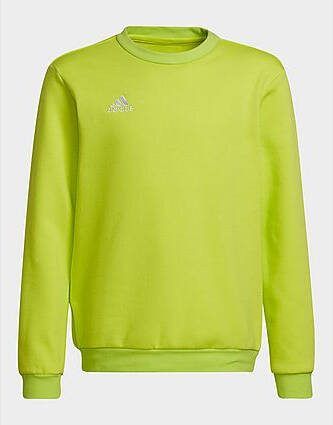 Adidas Entrada 22 Sweatshirt Team Semi Sol Yellow