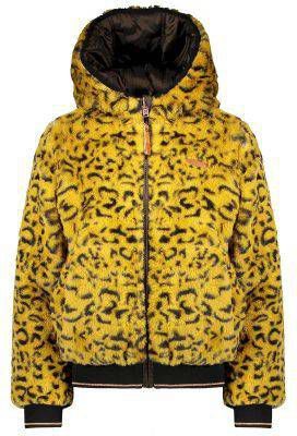 Cars parka Corallia army groen Jassenshoponline.nl Cars parka Corallia army groen Jassenshoponline.nl