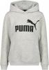 Puma hoodie grijs melange online kopen