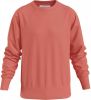 Calvin Klein Sweater j30j314035 xlv , Rood, Heren online kopen
