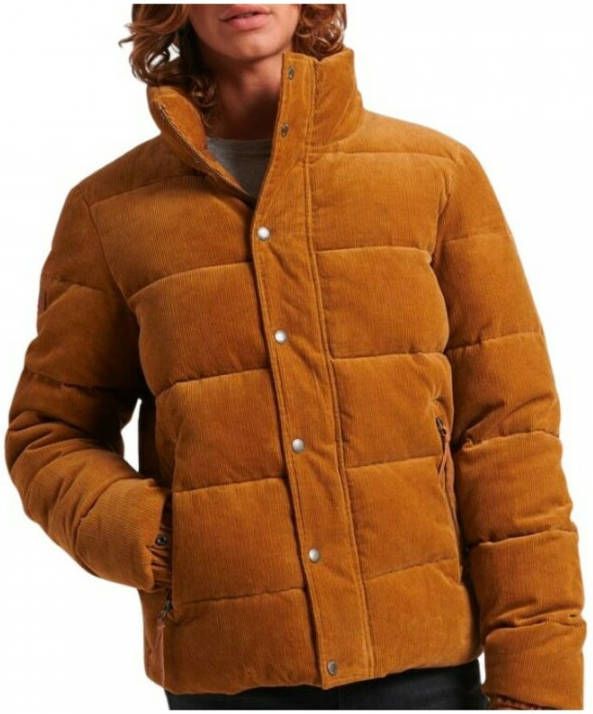 Superdry Gewatteerde jassen Bruin Heren