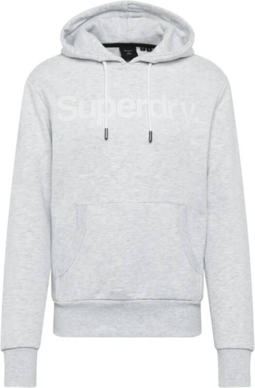 Superdry Hoodies & sweatvesten Grijs Heren
