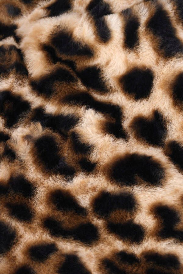 Cars Jeans Zwarte Jack Kids Zinx