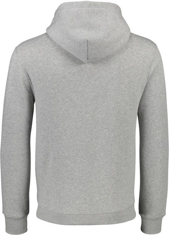 Polo Ralph Lauren Hoodies & sweatvesten Grijs Heren