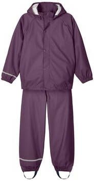 name it Regen Set Nkndry Hortensia