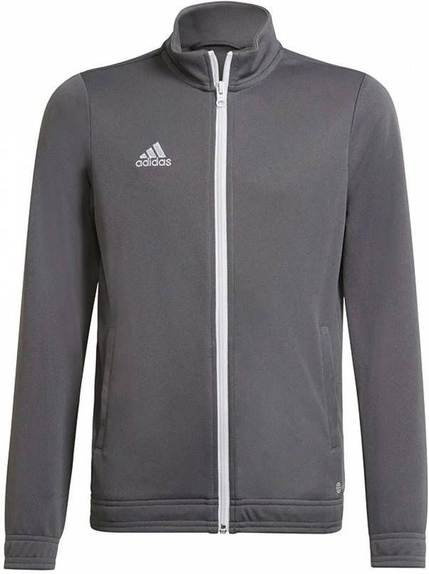 adidas Track Vest Entrada 22 Grijs Kinderen