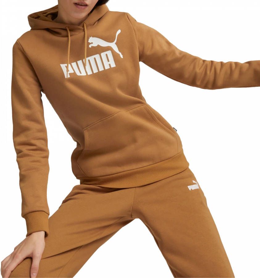PUMA Hoodie ESSENTIALS LOGO HOODIE FLEECE