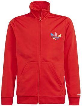 Adidas Blazer
