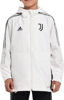 Adidas Blazer