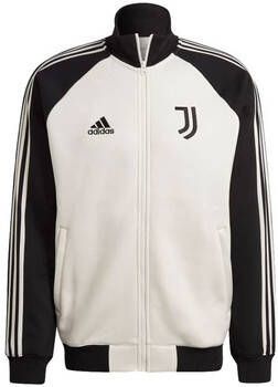 Adidas Blazer