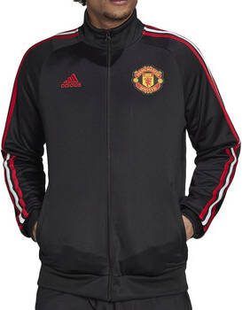 Adidas Blazer