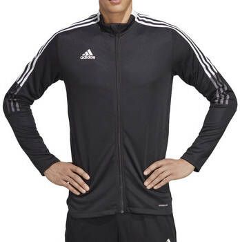 Adidas Blazer