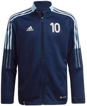 Adidas Blazer