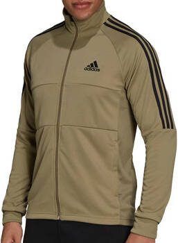 Adidas Blazer