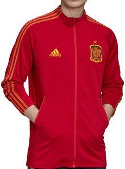 Adidas Blazer