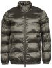 Guess Donsjas PUFFA THERMO QUILTING JACKET online kopen
