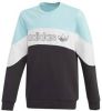 Adidas Originals sweater lichtblauw/zwart online kopen