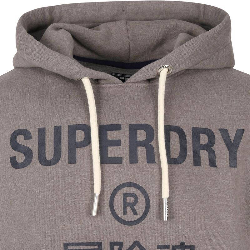Superdry Hoodies & sweatvesten Grijs Heren