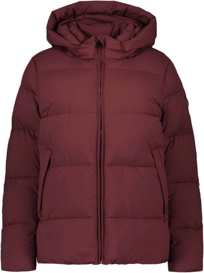 Airforce PIA Puffer Jacket Vineyard Wine , Rood, Dames