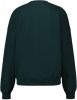 America Today Dames Sweater New York Sue Groen online kopen