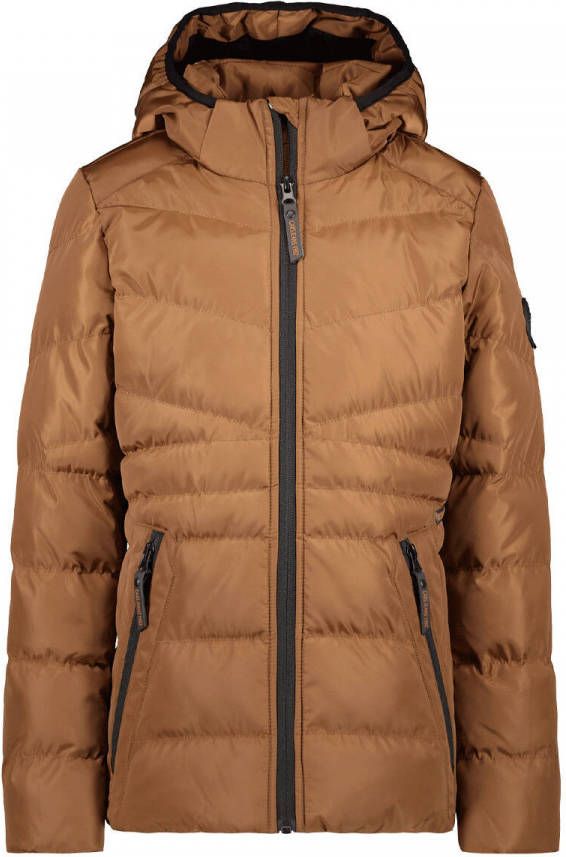 Cars Gewatteerde Jassen Bruin Dames