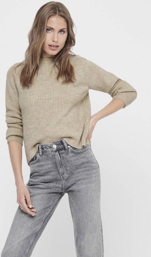 Only Trui met ronde hals ONLJADE in geribde look