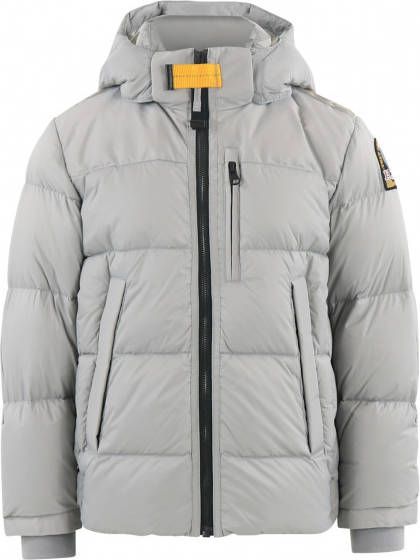 Parajumpers Winterjassen Grijs Heren