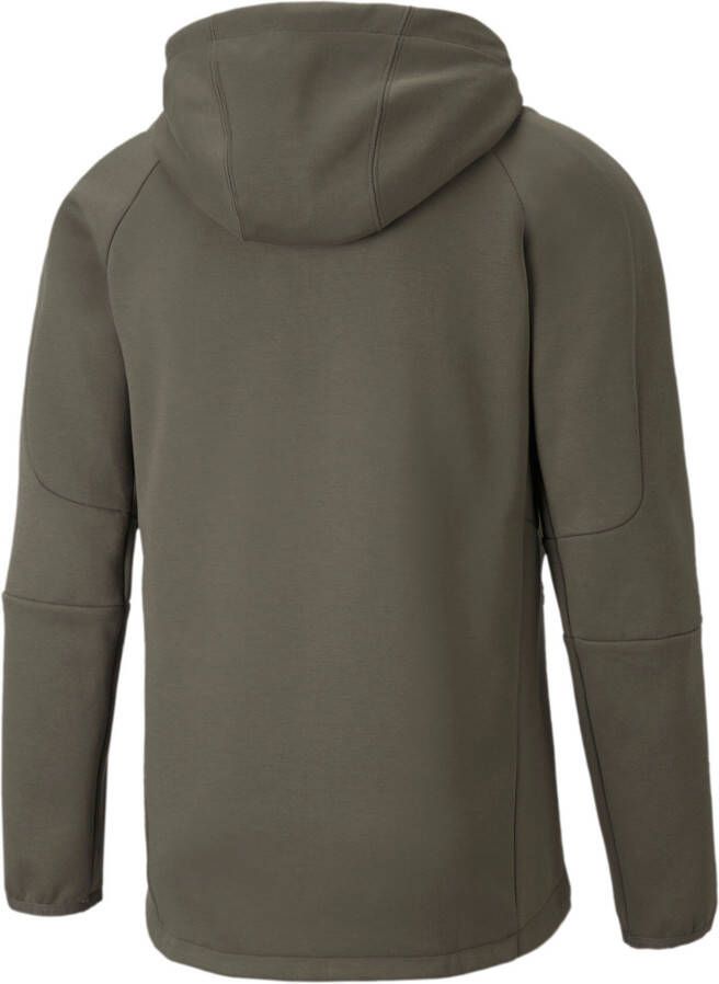 Puma Evostripe fz hoodie 589424 44