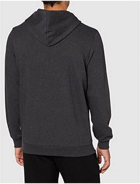 Puma Essential Big Logo Sweater Met Capuchon Heren