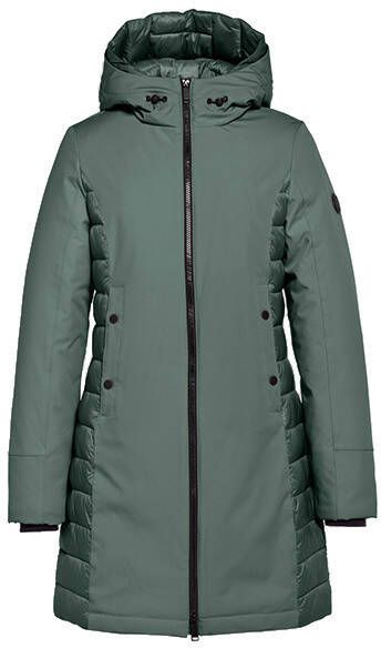 Reset Jas lr009.30.223 sage