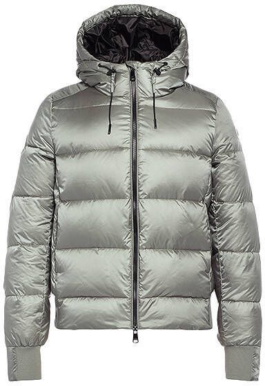 Reset Jas lr026 10 223 sage