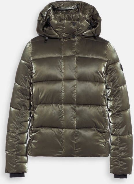 Reset lr018.10.223 jas leicester