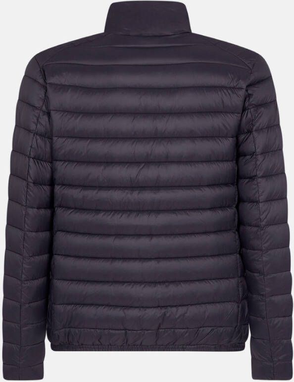 Save the Duck Alexander