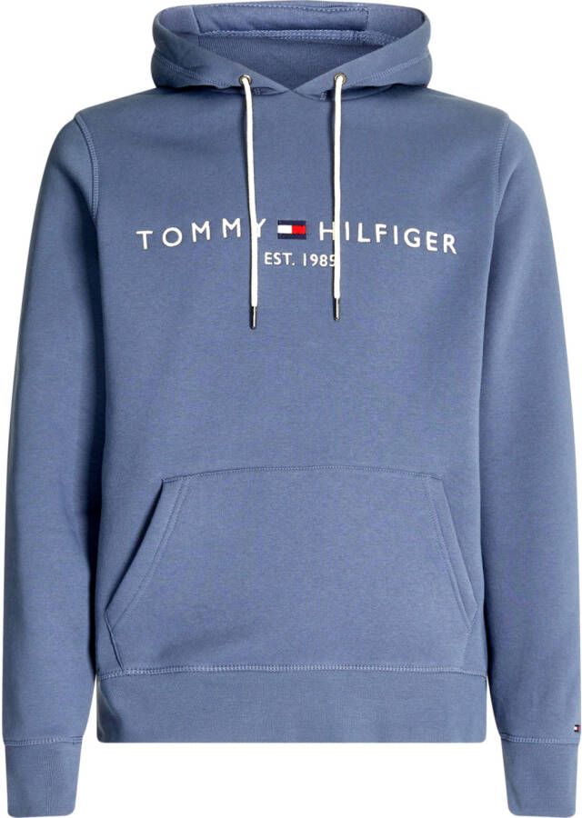 Tommy Hilfiger Hoodies & sweatvesten Blauw Heren