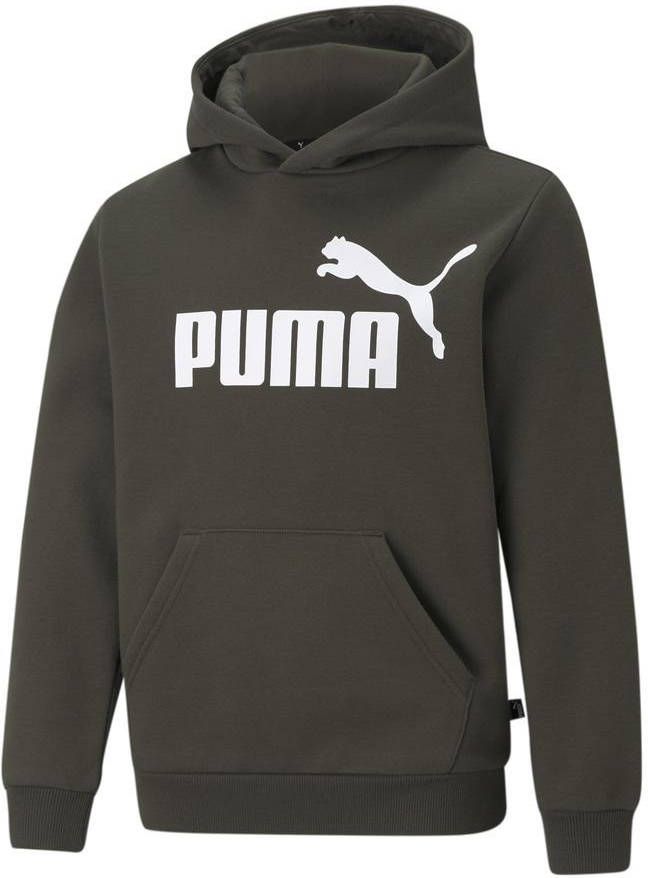 PUMA Hoodie Essentials Big Logo Groen/Wit Kinderen