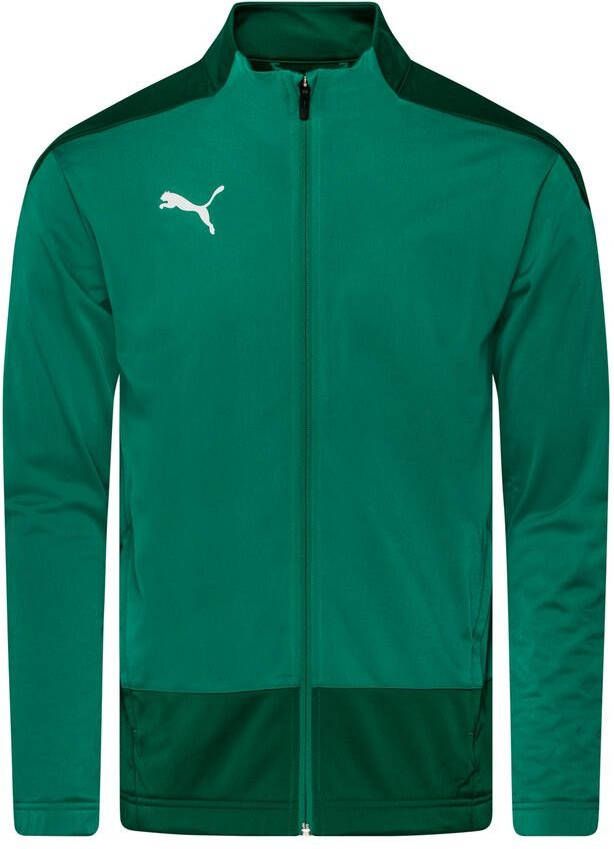 PUMA Trainingsjas teamGOAL 23 Groen/Groen
