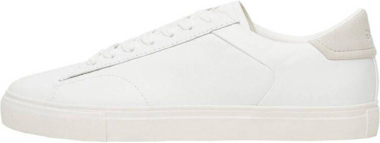 Mango Metrolea sneaker met geitenleren details