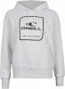 O'Neill hoodie met printopdruk lichtgrijs online kopen